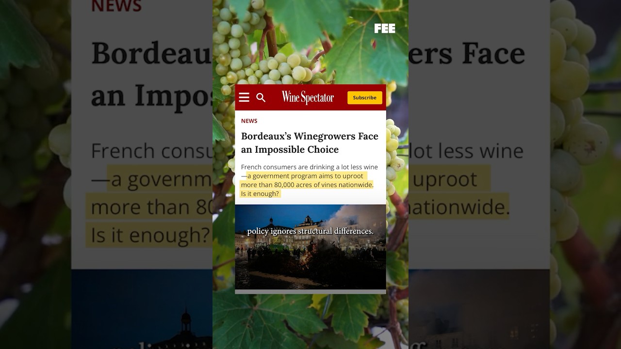 Central Planning Comes for Wine