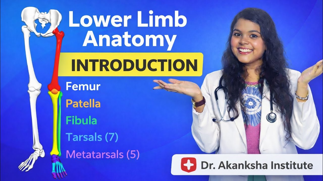 Lower Limb Anatomy || Introduction || By Dr. Akanksha Pagare