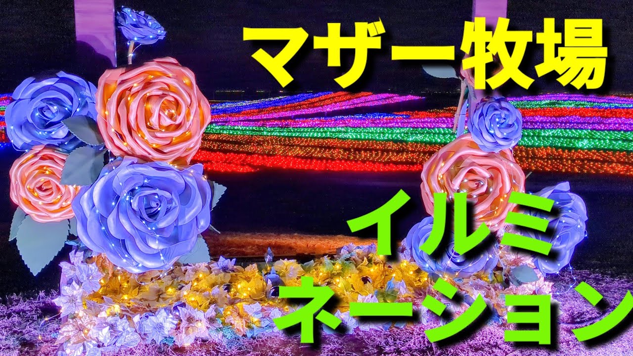 マザー牧場🌸🍓✨イルミネーション🌷2026年2月28日🌸無料体験😊16時から駐車料金無料🌷よみうりファミリーサークルにて、チケット請求🌸