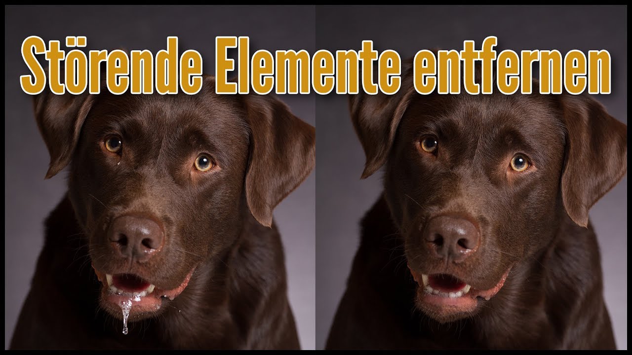 STÖRENDE ELEMENTE MIT PHOTOSHOP ENTFERNEN | so bereinigst du deine Bilder | PHOTOSHOP TUTORIAL