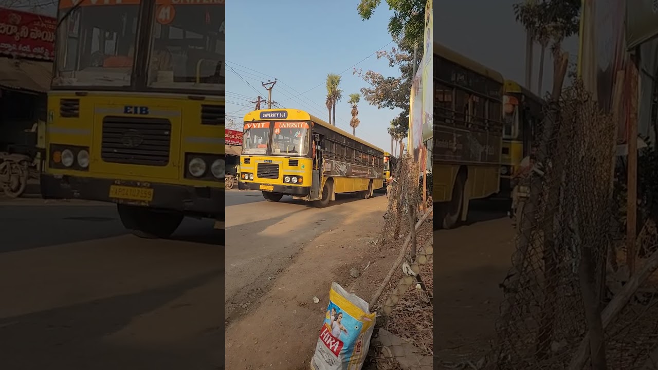 Namburu VVIT UNIVERSITY BUSES. #NAMBURU#pedakakanimandal#ponnur