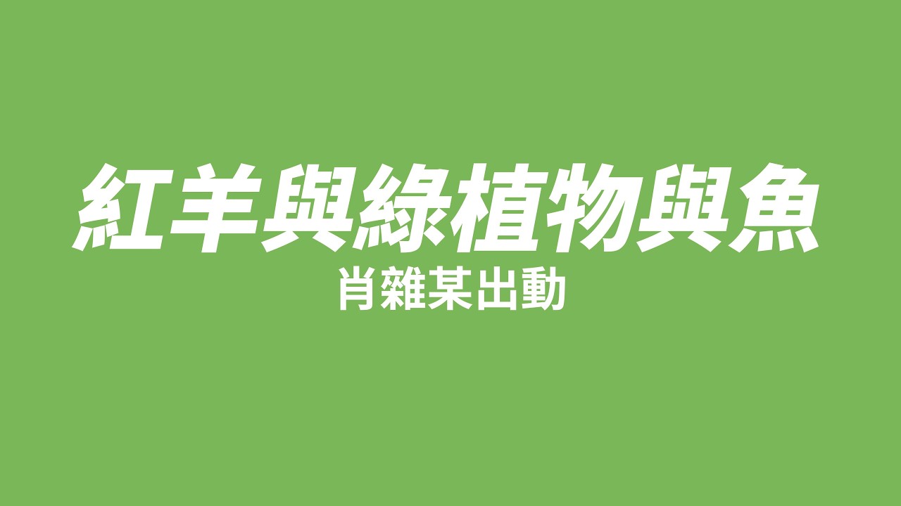 2026.2.5｜VOD｜紅羊與綠植物與魚｜肖雜某出動｜村田苗
