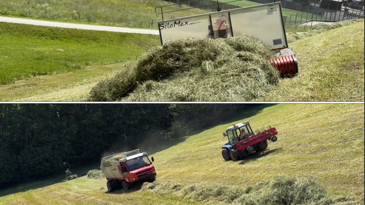 Heuernte im Steilen 2025 Hay harvest on the slopes