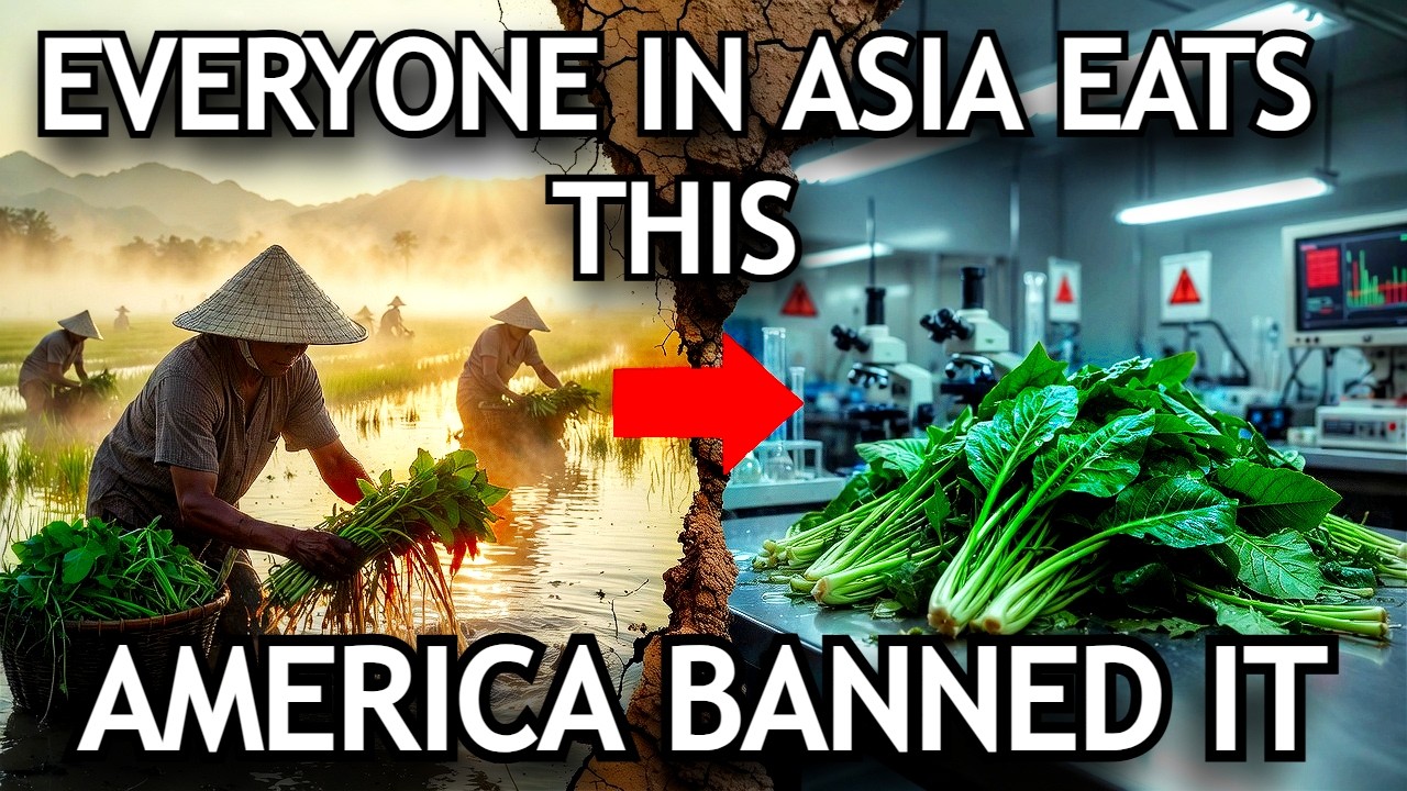 Kangkong Feeds Over 3 Billion People — Why Growing Water Spinach Is Banned in the U.S.