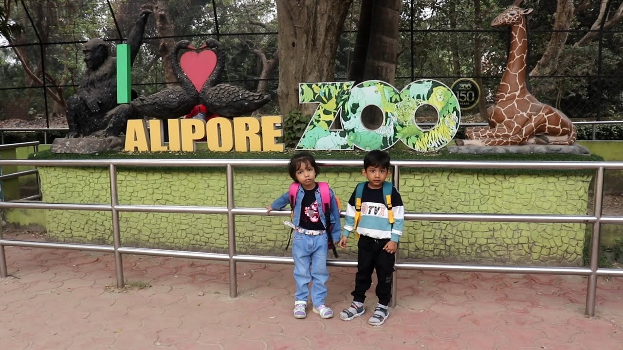 Alipur zoo vlog part - 1 ||I love Alipur zoo || India || West Bengal || kolkata || Alipur | zoo 