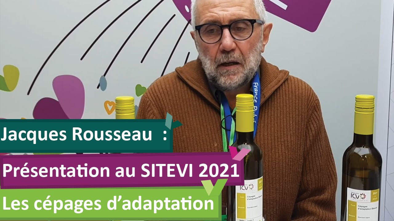 Les cépages d'adaptation au changement climatique
