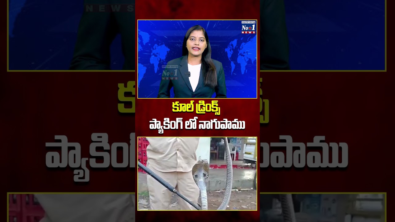 కూల్ డ్రింక్స్ ప్యాకింగ్ లో నాగుపాము #ytshorts #shorts #viral #videos #trending #yt