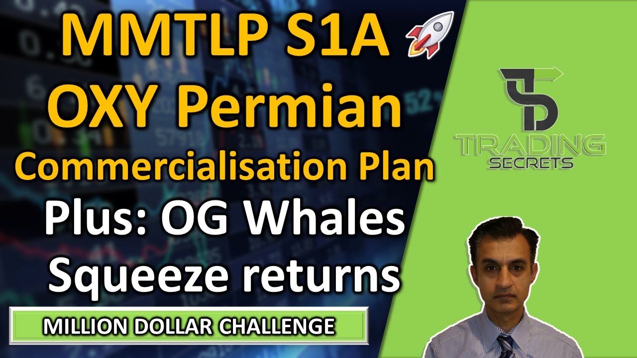 MMTLP OG Top 4 Whale investors, estimated squeeze returns. Plus OXY commercialising in the Permian.