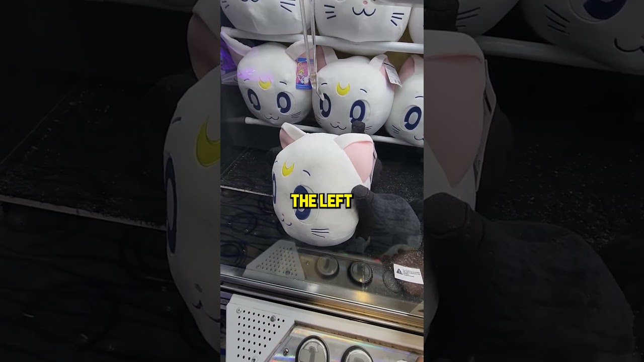 Rare Claw Machine Shows You HOW TO WIN! 