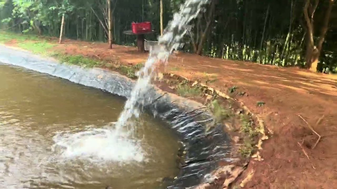TANQUE DE PEIXES COM LONA parte 4 da troca da água turma 