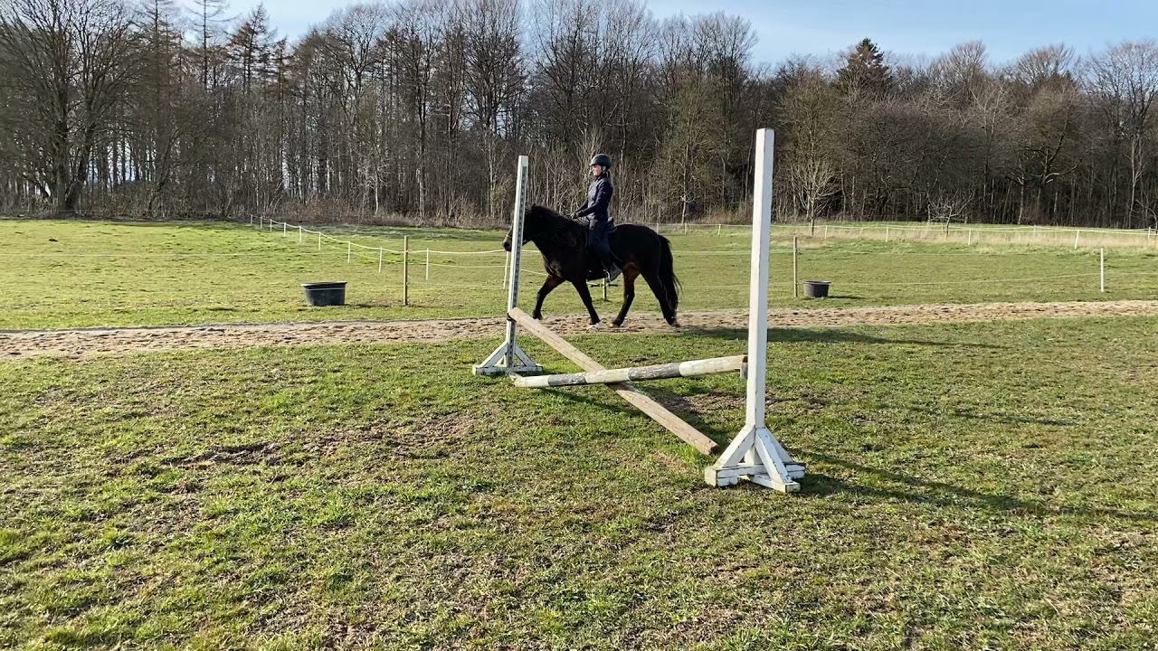 T8 - Mia Hansen p&aring; Litla fra Amh&oslash;j