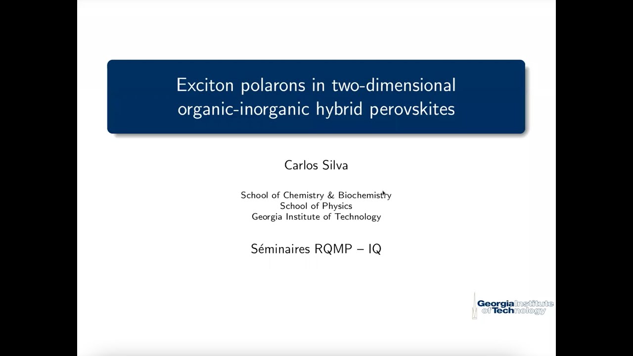 Exciton polarons in two dimensional organic inorganic hybrid perovskites