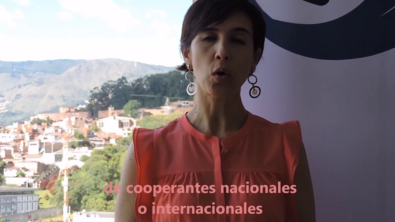Descubre los tipos de Cooperación Internacional