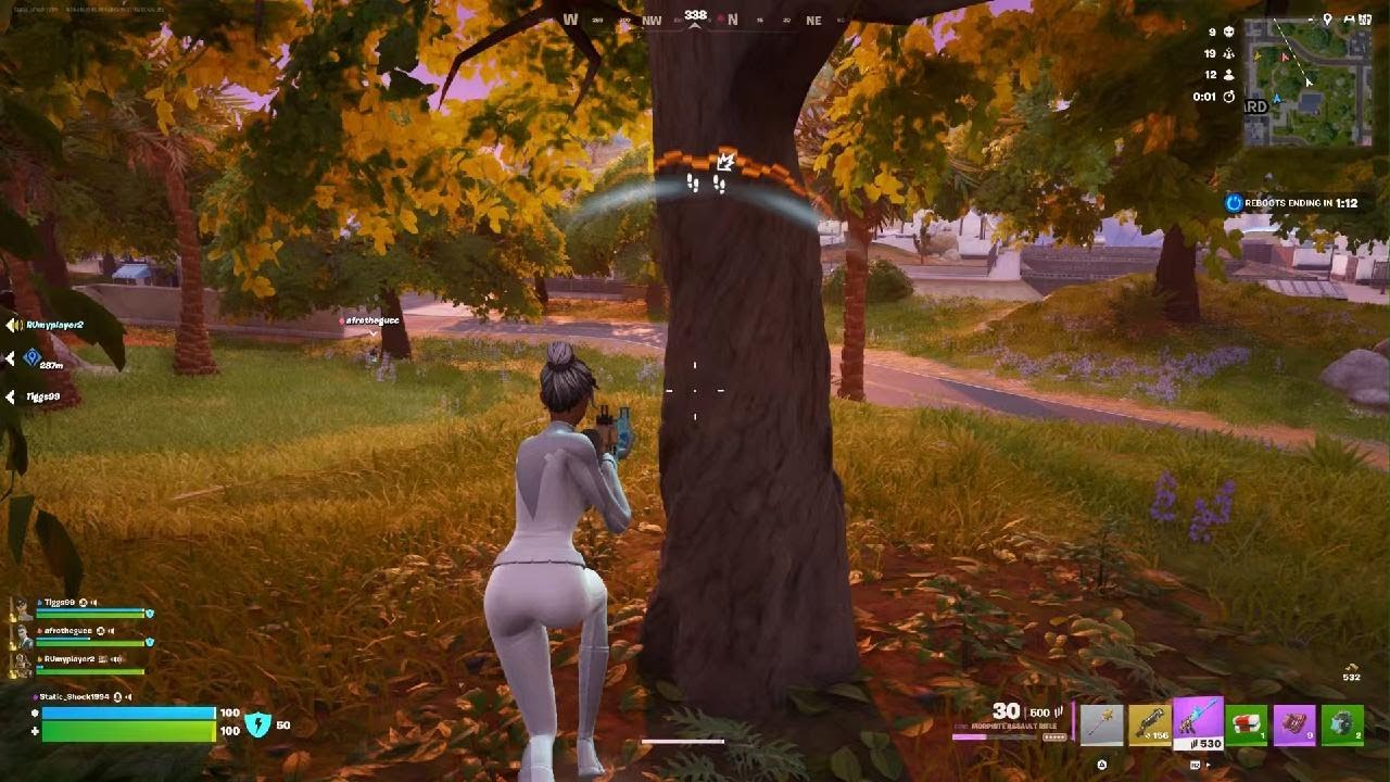Fortnite_20260303165428