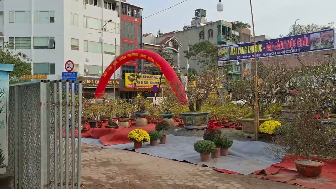 Chợ hoa tết long biên 2026