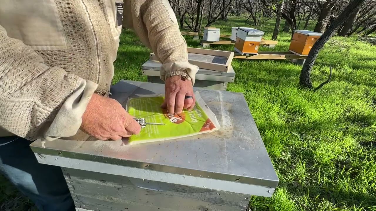 Winter Feeding Bees with Fondant (Using a Shim for Easy Access)