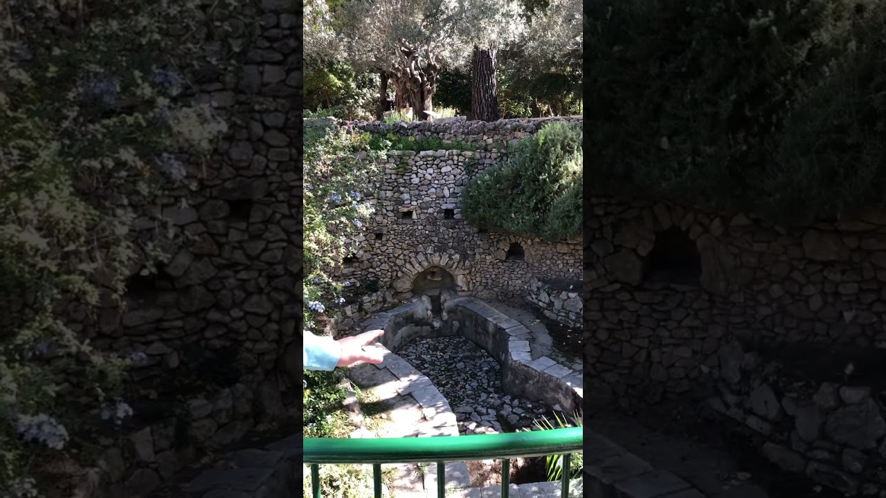 An ancient wine press! | Rabbi Mordecai Griffin
