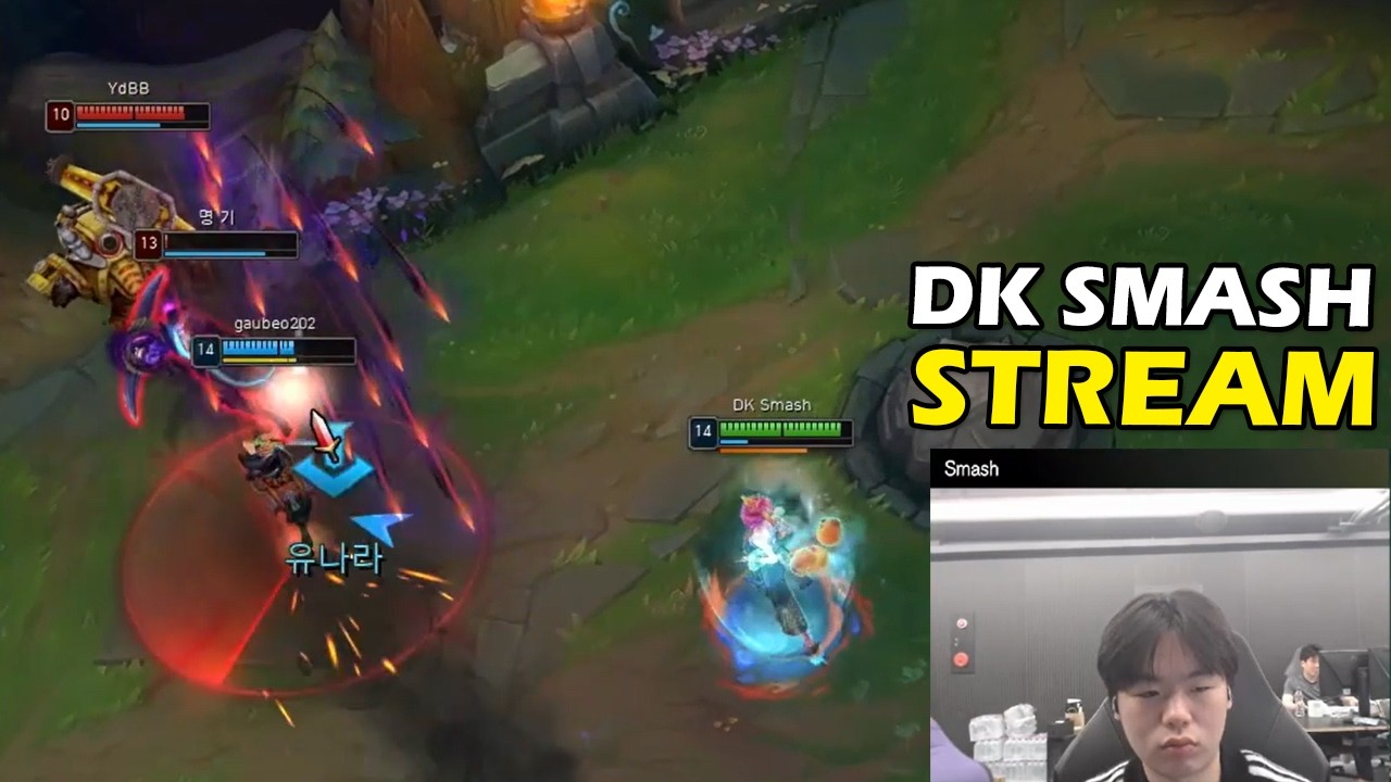 DK Smash Stream Yunara ft TSW Dire Smurfing Challenger