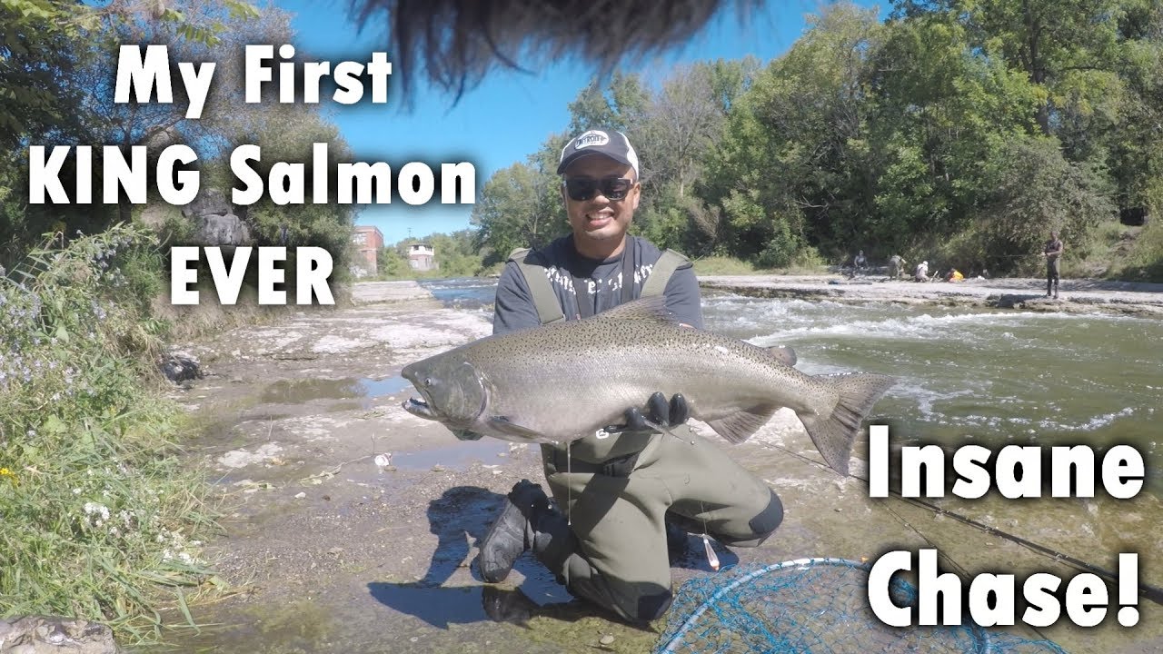 Chasing GIANT King Salmon - The Ganaraska River Port Hope