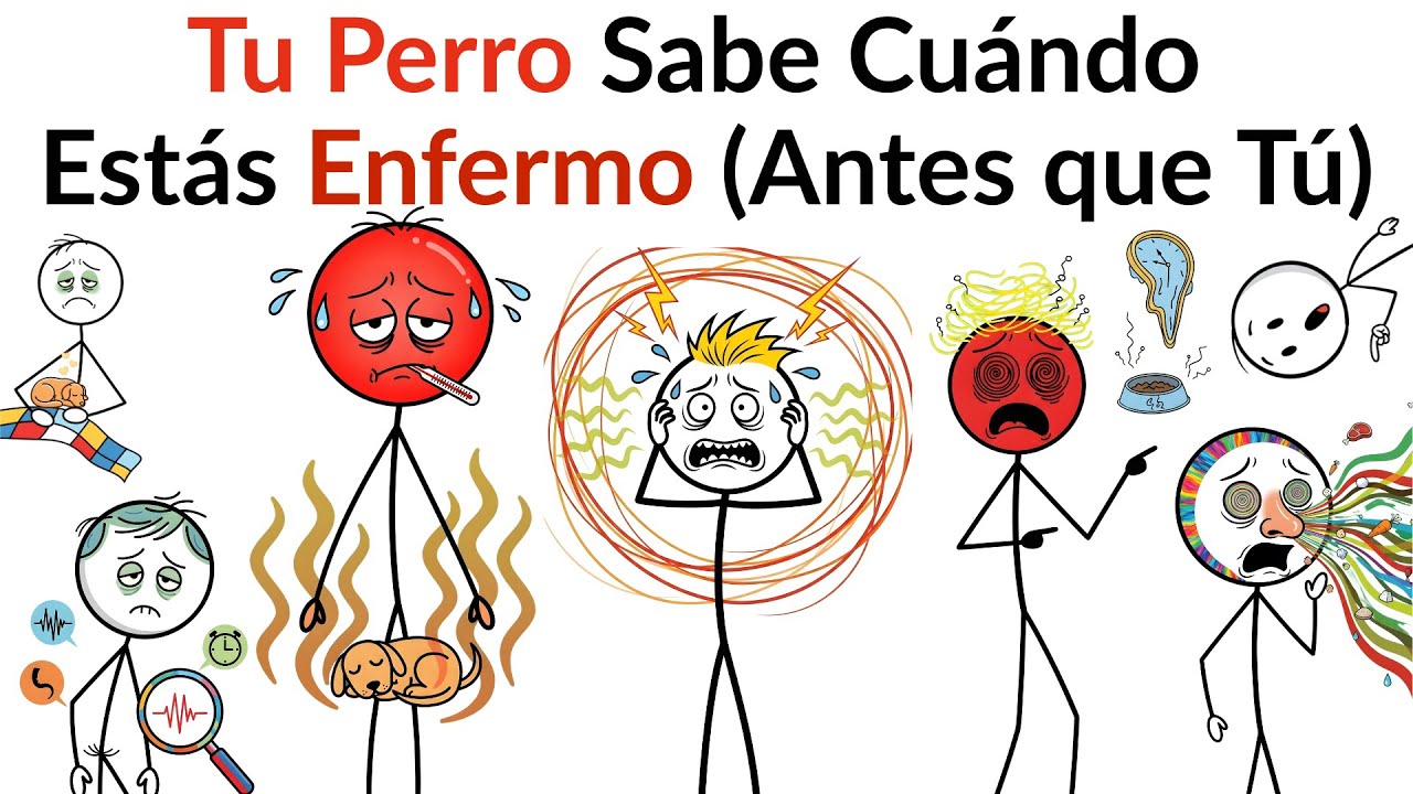 Tu Perro Sabe Cuándo Estás Enfermo (Antes que Tú)