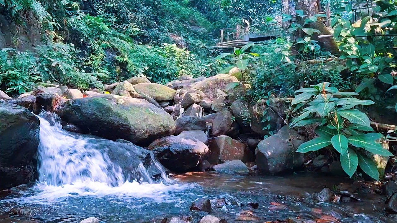 Calm River Flow for Bedtime Peace
