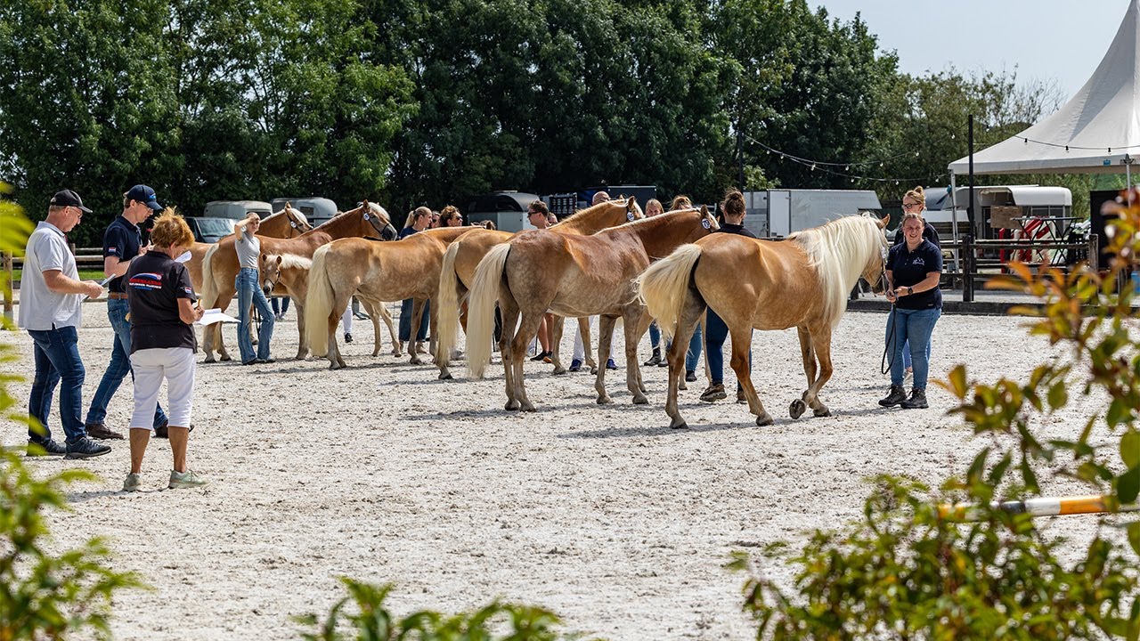 NHPS Zomerkeuring 2025
