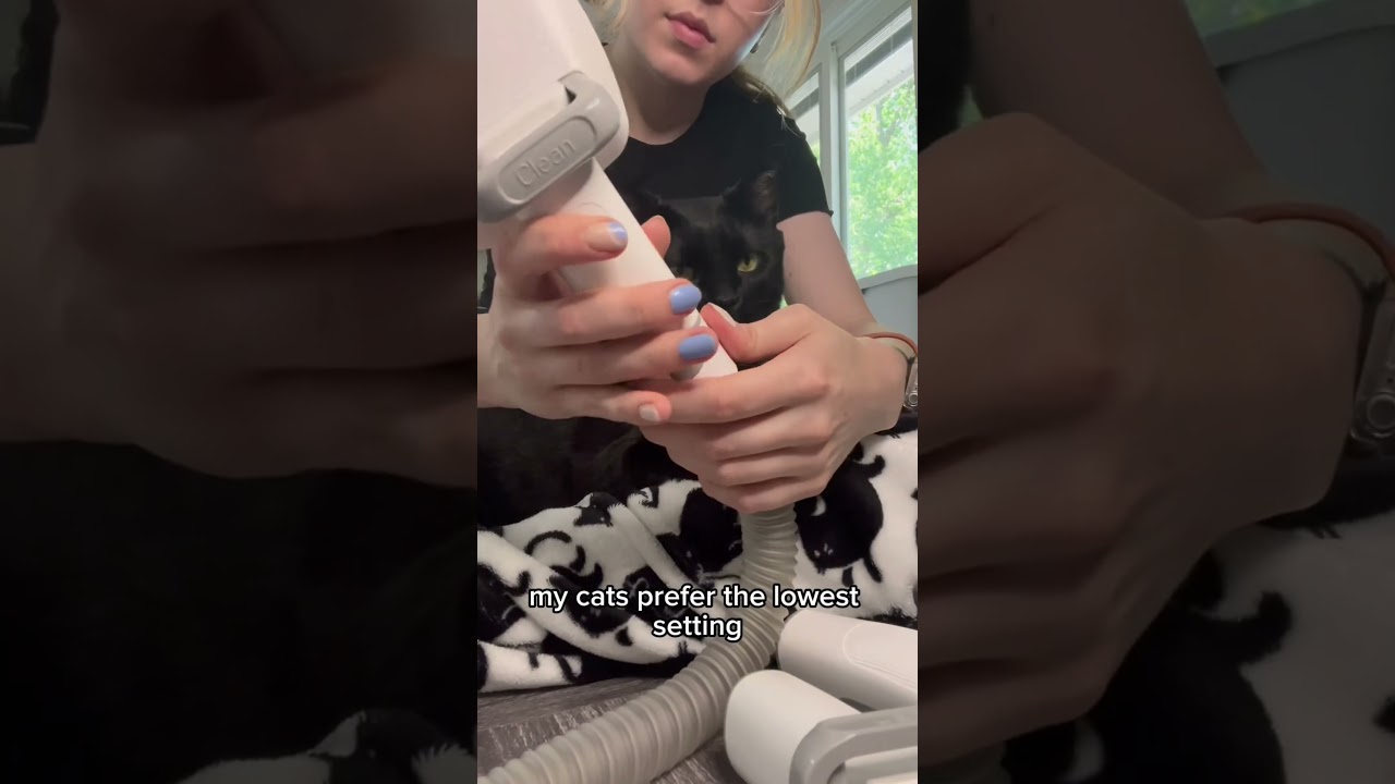 Neakasa P0 Pro 5-in-1 Pet Grooming  Vacuum Kit Review 😸 #catshorts #review #catvideo #catvideos