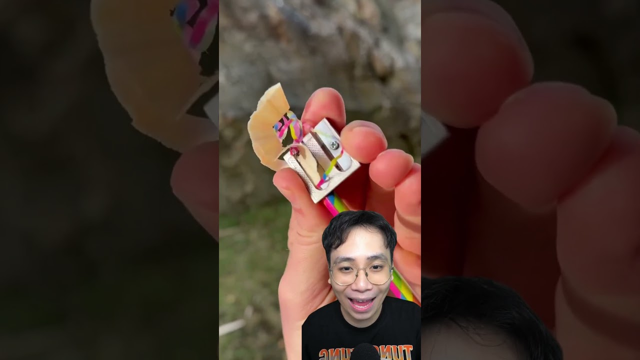 Chuốt c&acirc;y b&uacute;t ch&igrave;