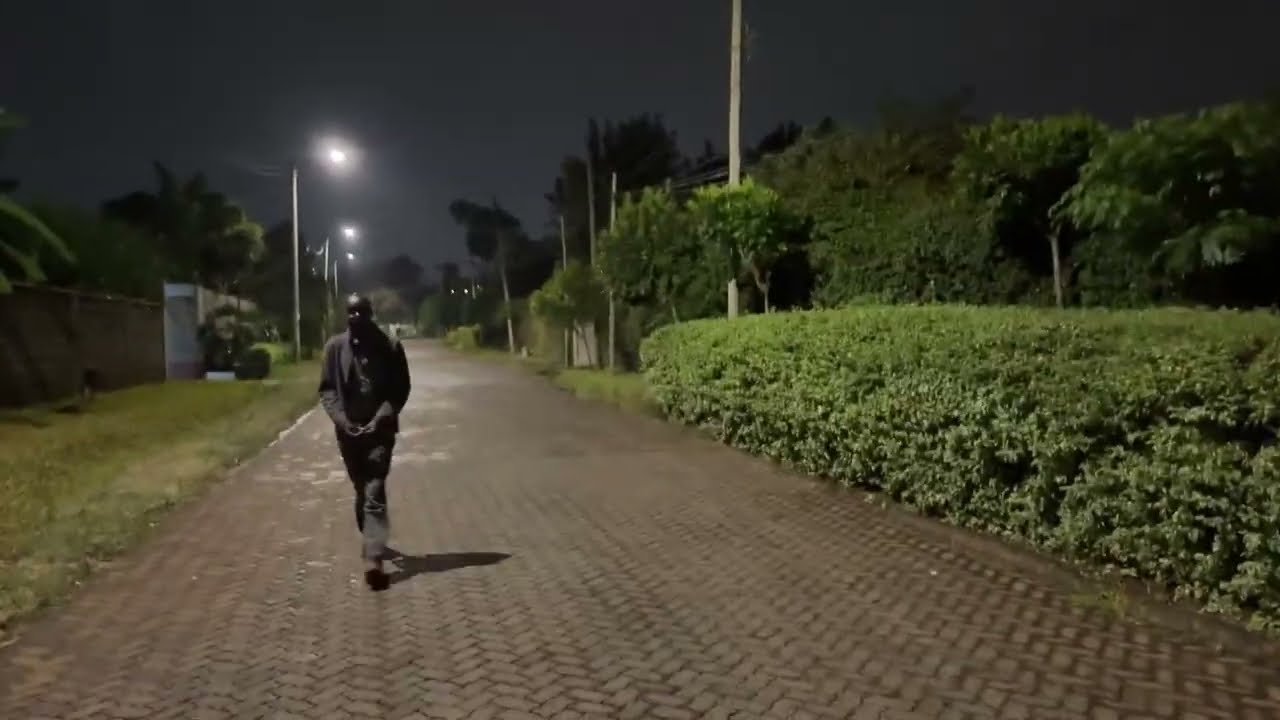 Quick Evening Walk! 🚀