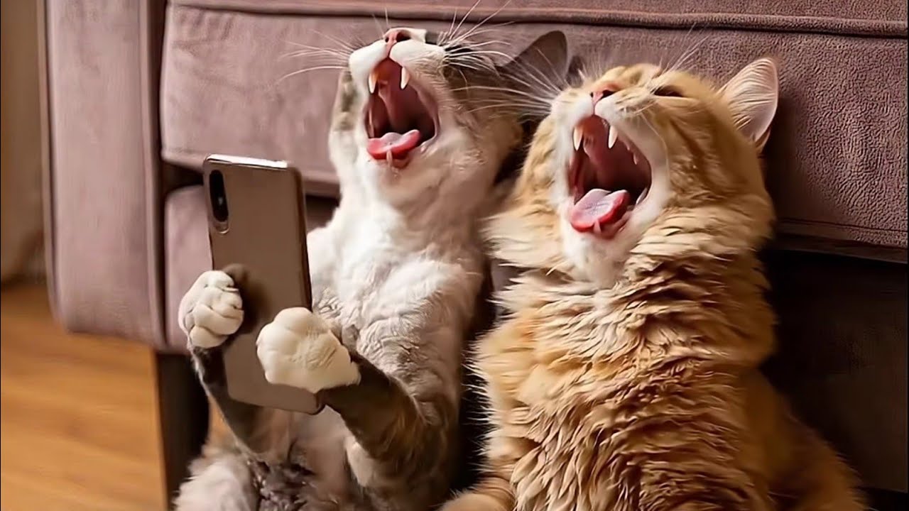 130 #WHP Kris tries Mystery of the Lamp and Wins! #slot #casino #slotmachine #gambling