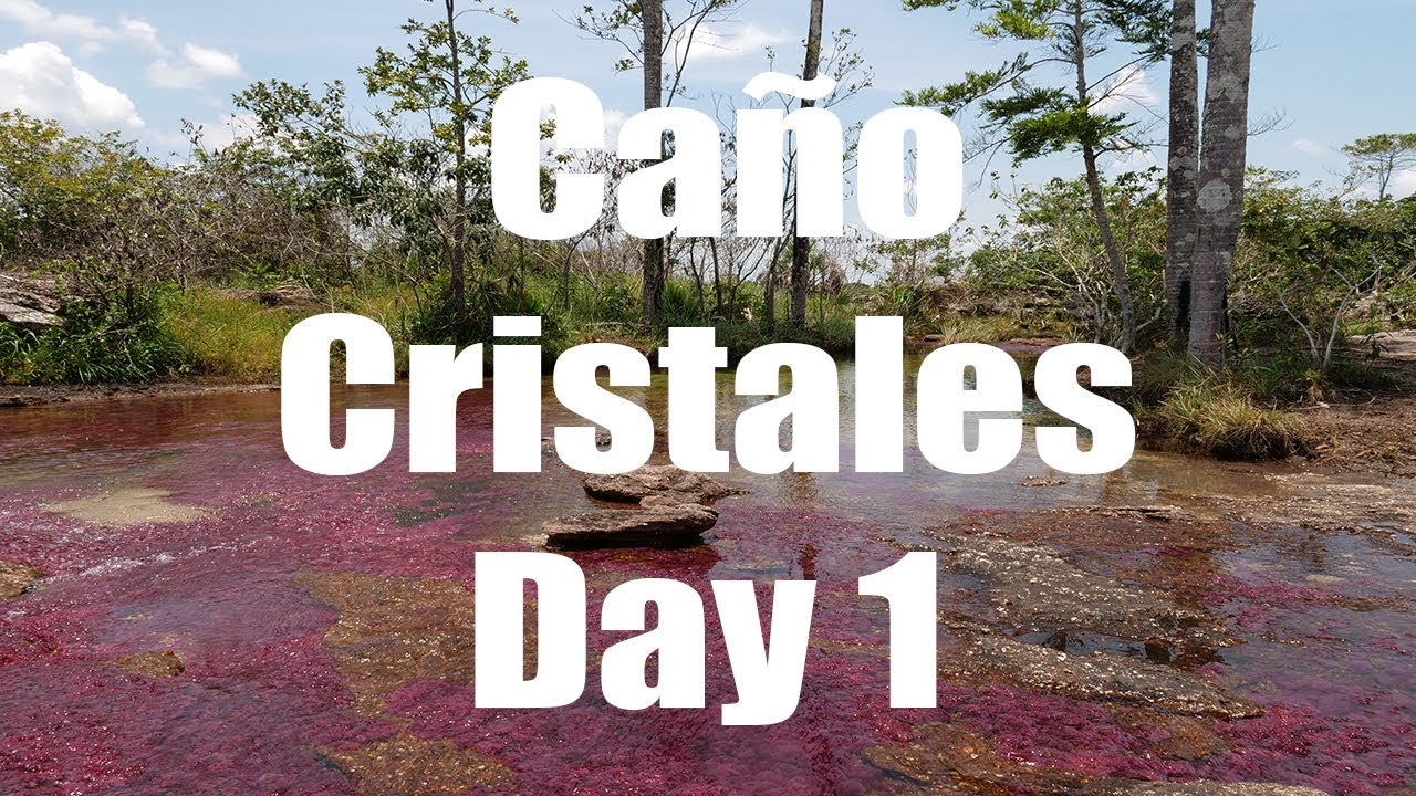 Caño Cristales, Day 1 - 4K UHD - Virtual Trip