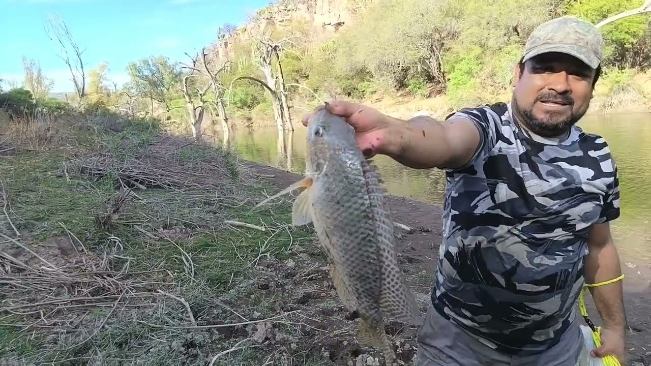Vean el buen tarrayaso de Luis pura tilapia grande