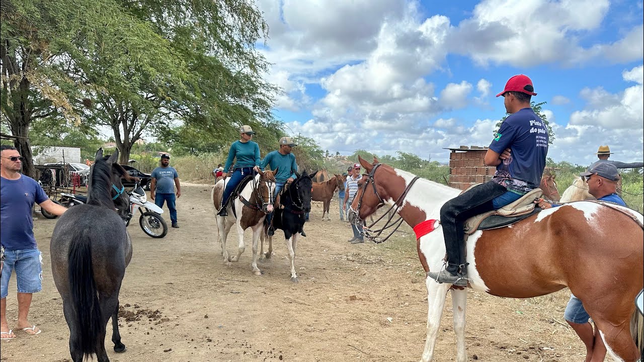 FEIRA DE CAVALOS EM ALTINHO-PE DIA 17/01/2026