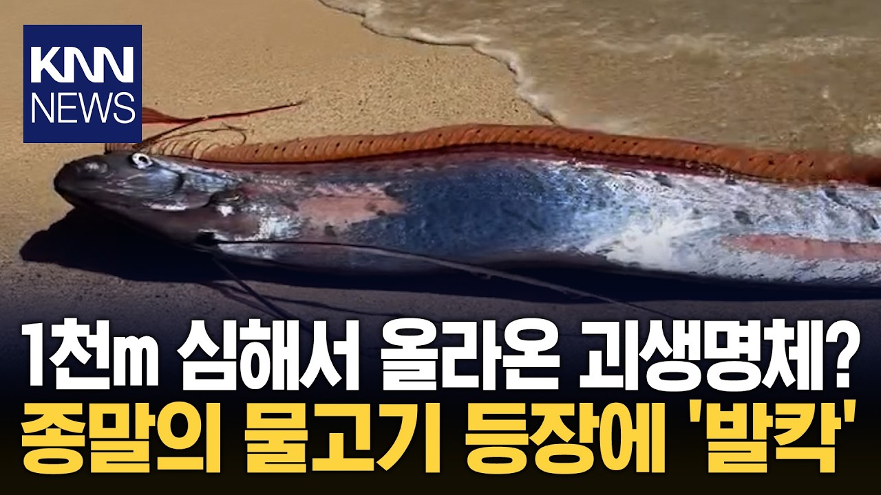 꿈틀거리는 괴생명체 발견 '깜짝' '지구 종말의 신호'라는 물고기? / KNN