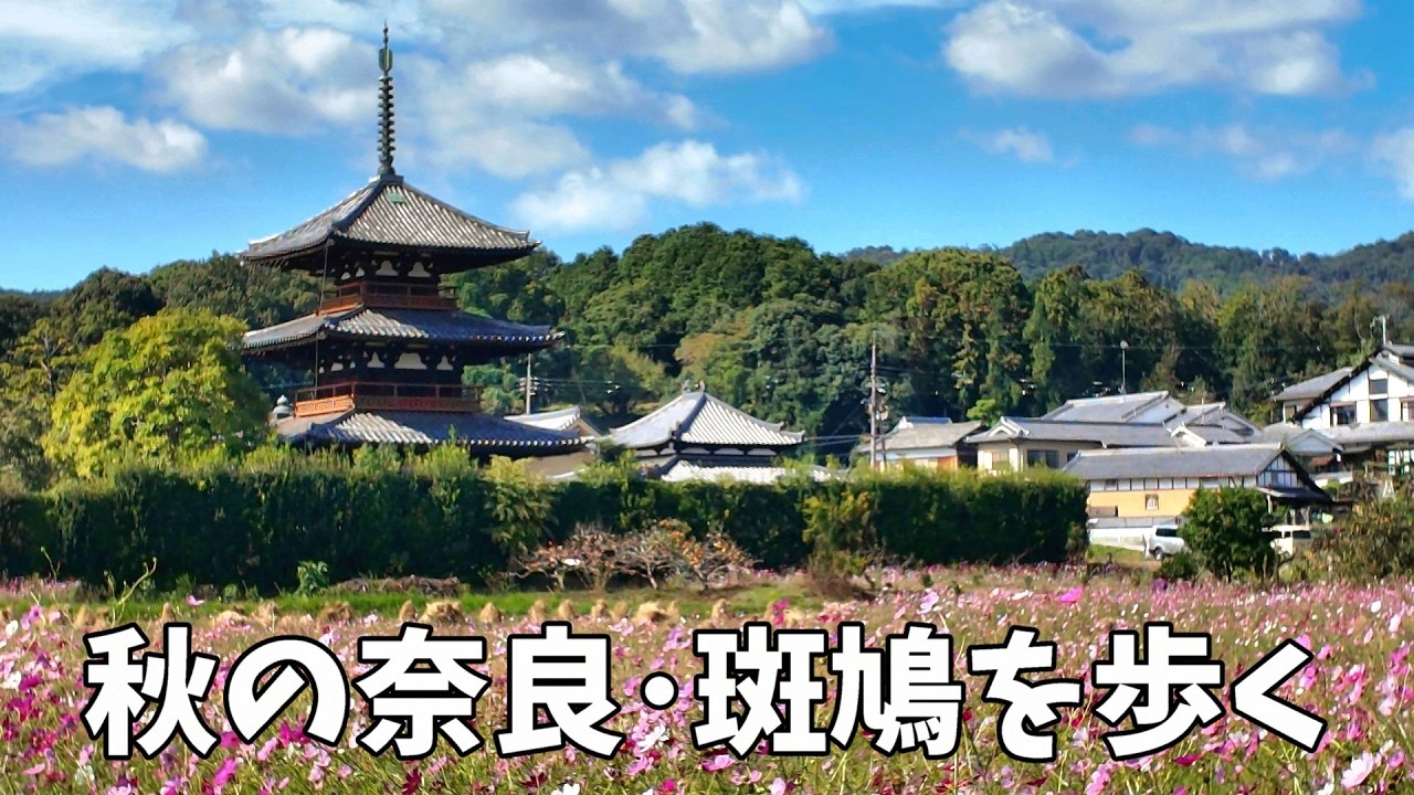 秋の奈良・斑鳩を歩く　法起寺～法輪寺～法隆寺