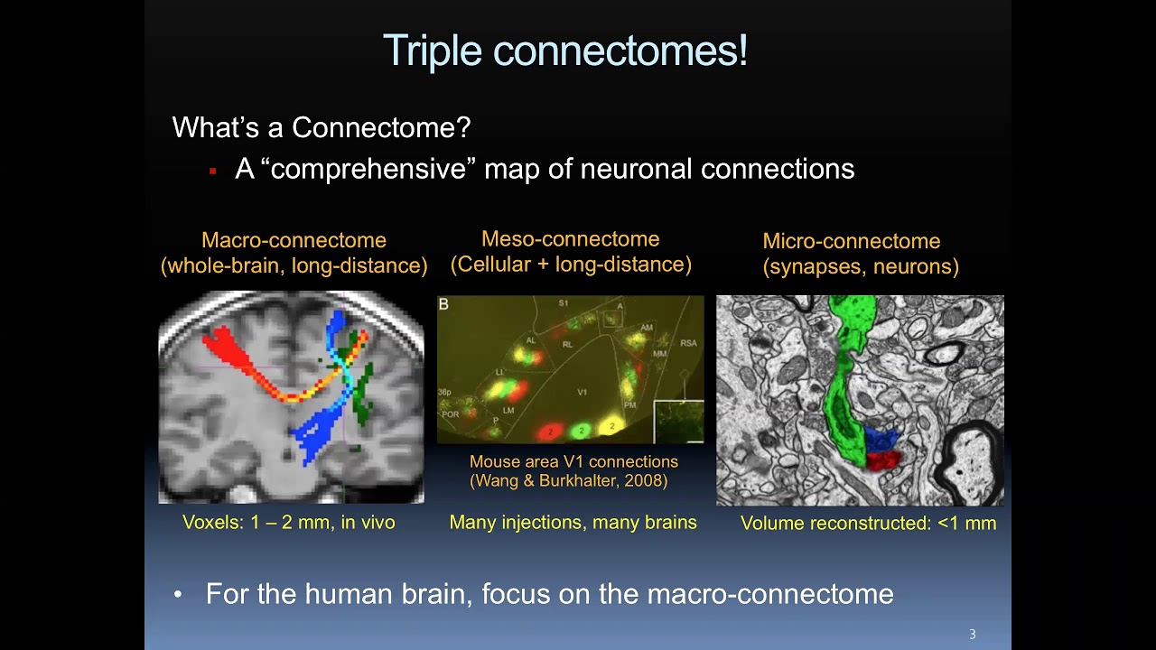 The Human Connectome Project, Dr. Jennifer Elam
