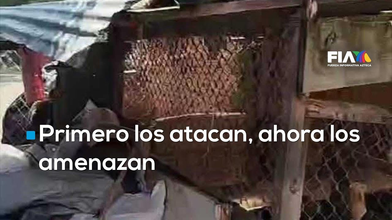 Horror en #Edomex | Atacan albergue de animales 