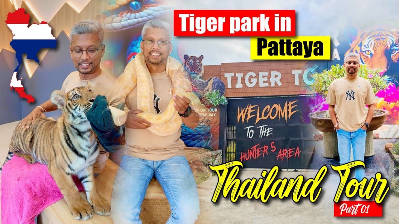 Tiger Park in Pattaya | Thailand Tour | කොටියන්ට කිරි පෙවූ තායිලන්ත සංචාරය | 
