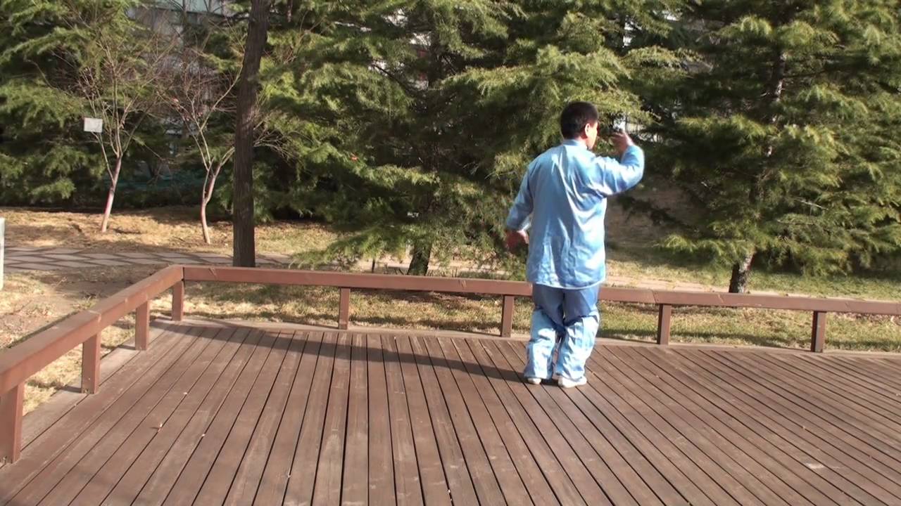 Taiji24 0410 Yunshou.mov