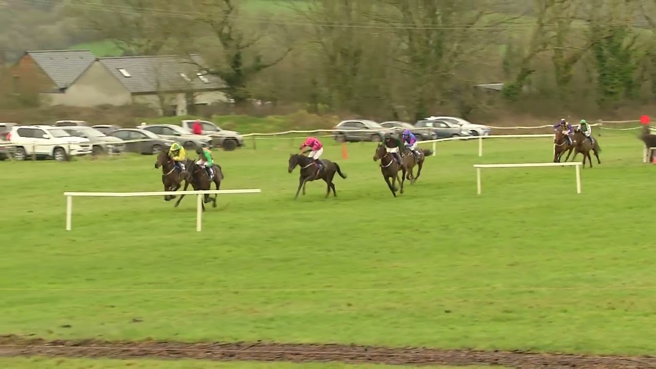 P2P - Dromahane - 30 Dec 25 - R2 - D2 Tattersalls Cheltenham January Sale 4yo Geldings Maiden