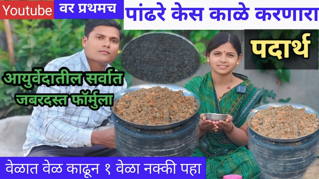 पांढरे झालेले केस परत काळे करणारा आयुर्वेदातील अतिशय चमत्कारिक पदार्थ | Karal Chutney /Niger Seeds 