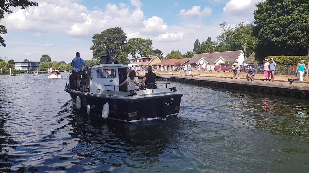 Swan Upping Shepperton Lock 16/07/18
