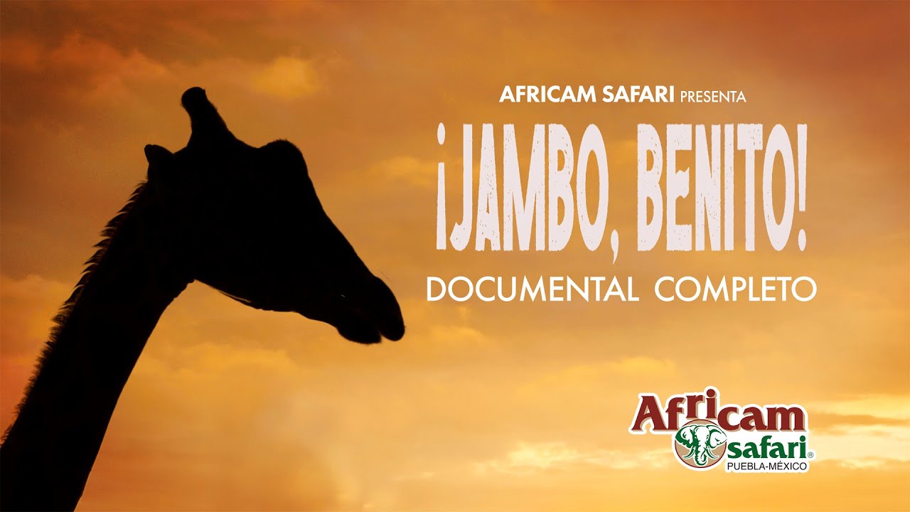 ¡Jambo, Benito! - Documental completo