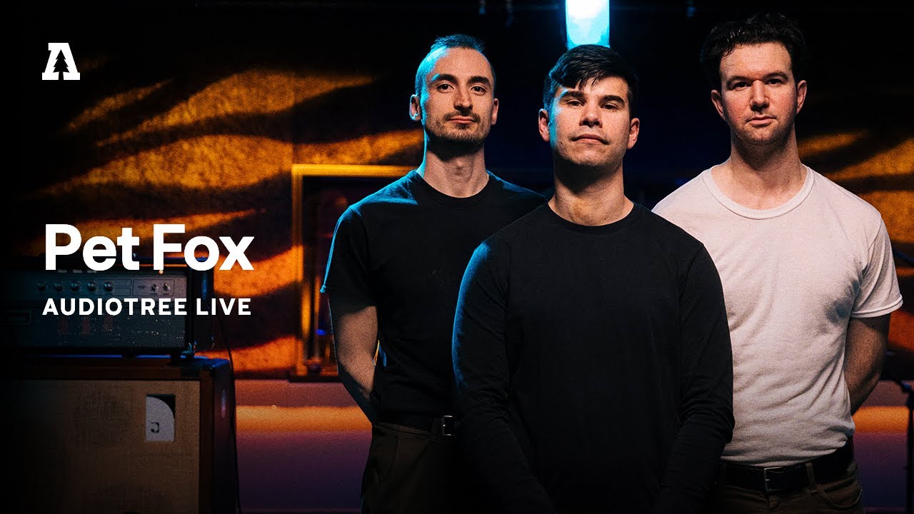 Pet Fox on Audiotree Live (Full Session)