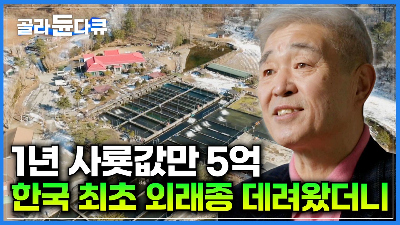 3만 평에 송어만 무려 8만 마리! 대한민국 최초 송어 양식장 대공개｜사룟값만 1년에 5억 원이라는 송어 종갓집｜송어 양식과 전문식당의 성지｜서장훈의 이웃집 백만장자｜#골라듄다큐