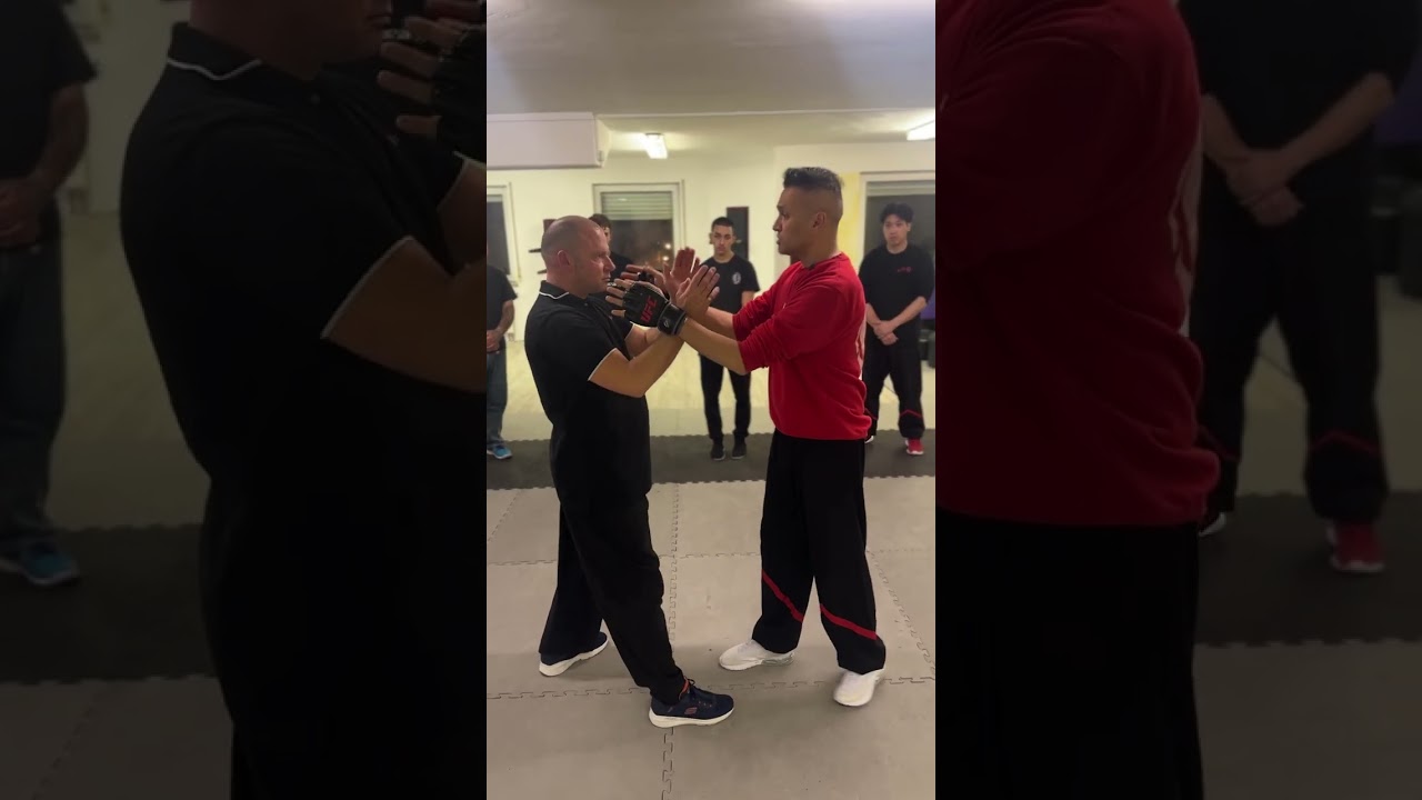 Pat Situationen #wingtsun #leungting #wingchun 