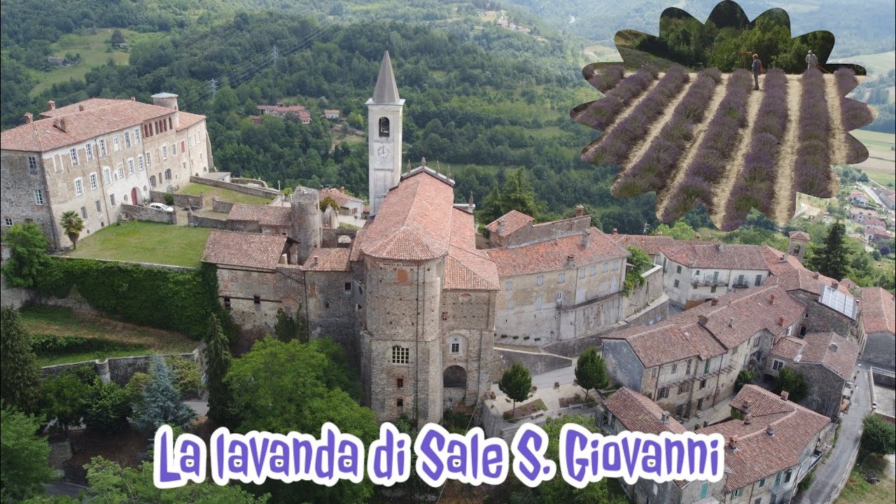 La lavanda in fiore di Sale San Giovanni