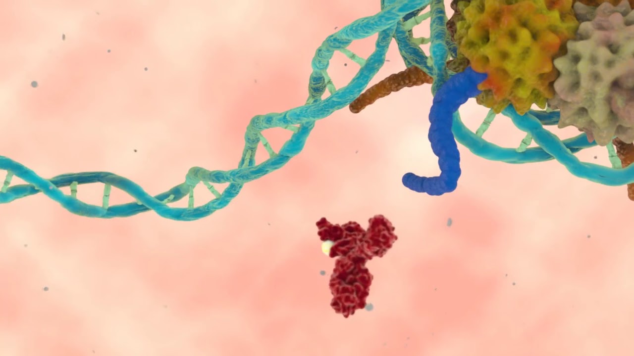 High content Screening- HCS technology - Phillip Morris Science