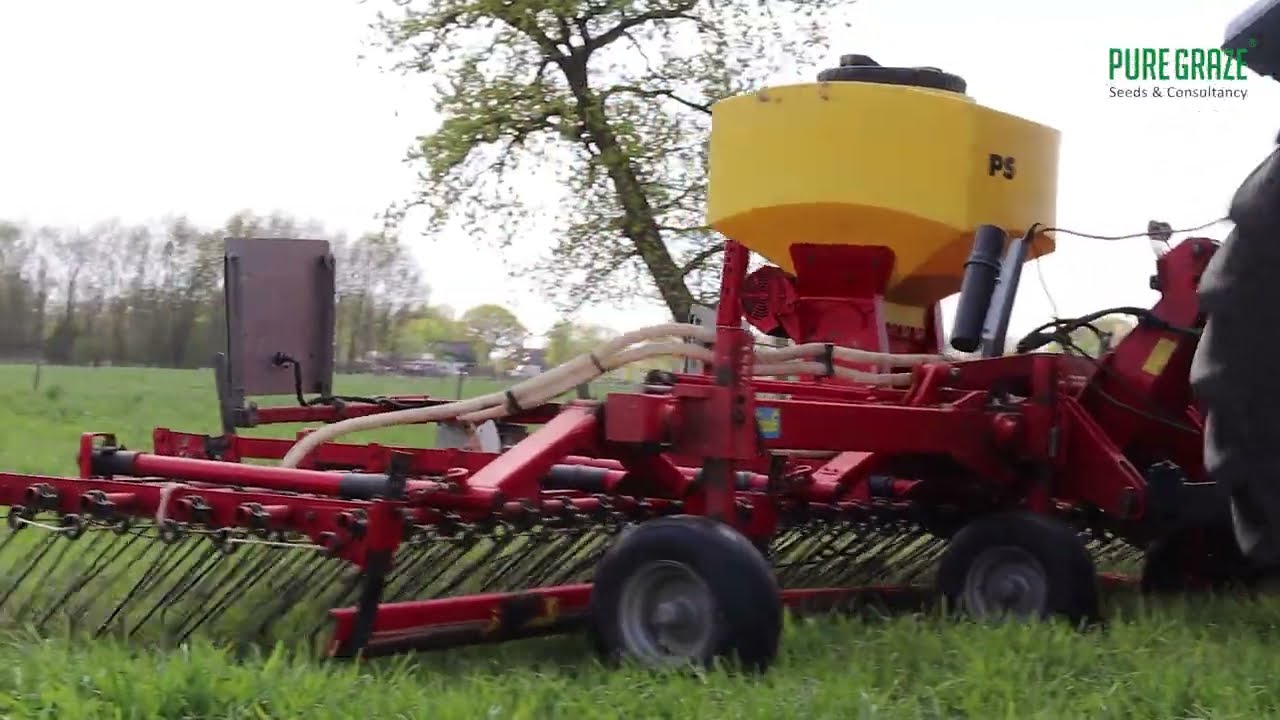 Kruidenrijk grasland doorzaaien - Saladebuffet
