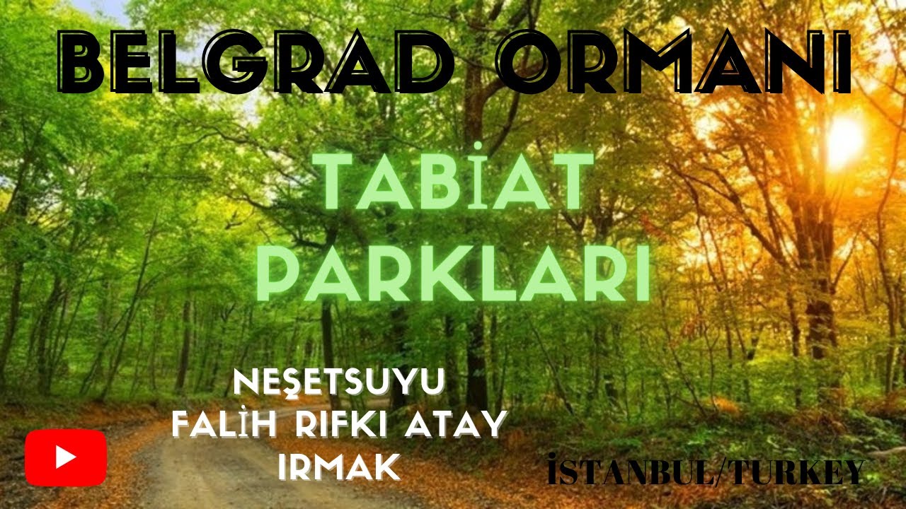 Belgrad Ormanı - 3 tabiat parkını gezdik ( Neşetsuyu , Falih Rıfkı Atay, Irmak Tabiat parkları) Vlog